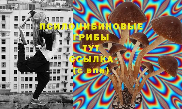 Альфа ПВП Балахна