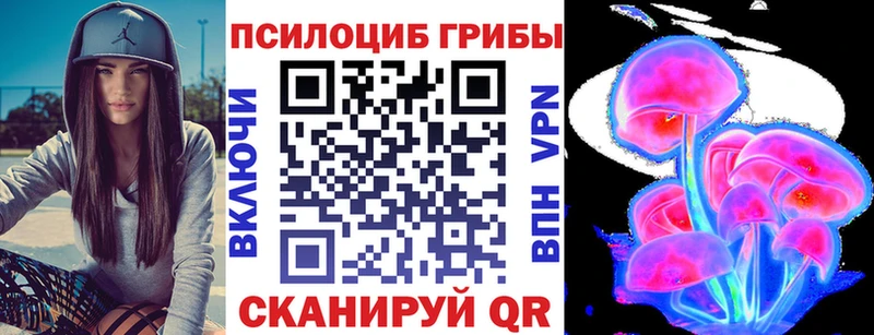 цена   Корсаков  Псилоцибиновые грибы Cubensis 